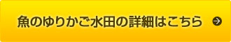 魚のゆりかご水田の詳細はこちら