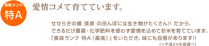 愛情こめて育てています