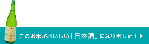 このお米がおいしい日本酒になりました！