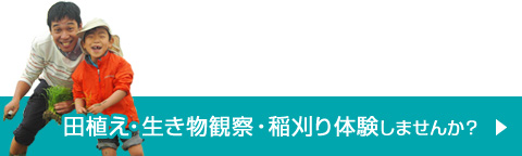 田植え・生き物観察・稲刈り体験しませんか？
