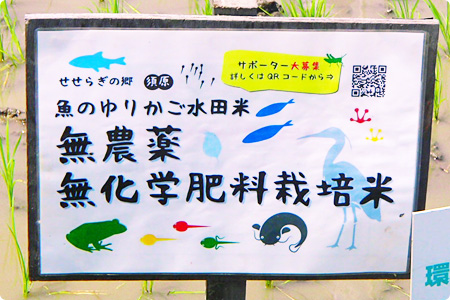 生産者のみなさん