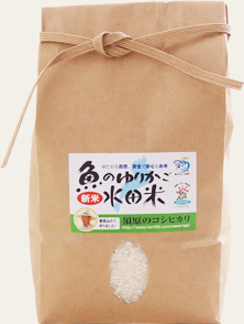 須原　魚のゆりかご水田米　商品写真