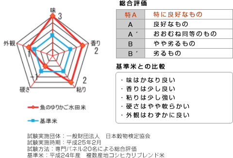 テスト結果の詳細グラフ