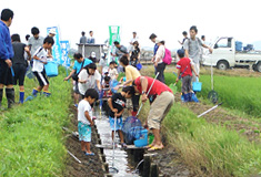 生き物観察会のようす