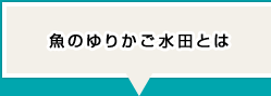 魚のゆりかご水田とは