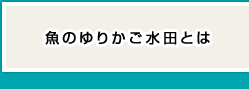 魚のゆりかご水田とは