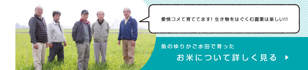 魚のゆりかご水田米へ