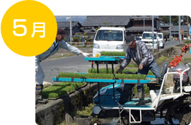 5月　代かき・田植えの時期をそろえる